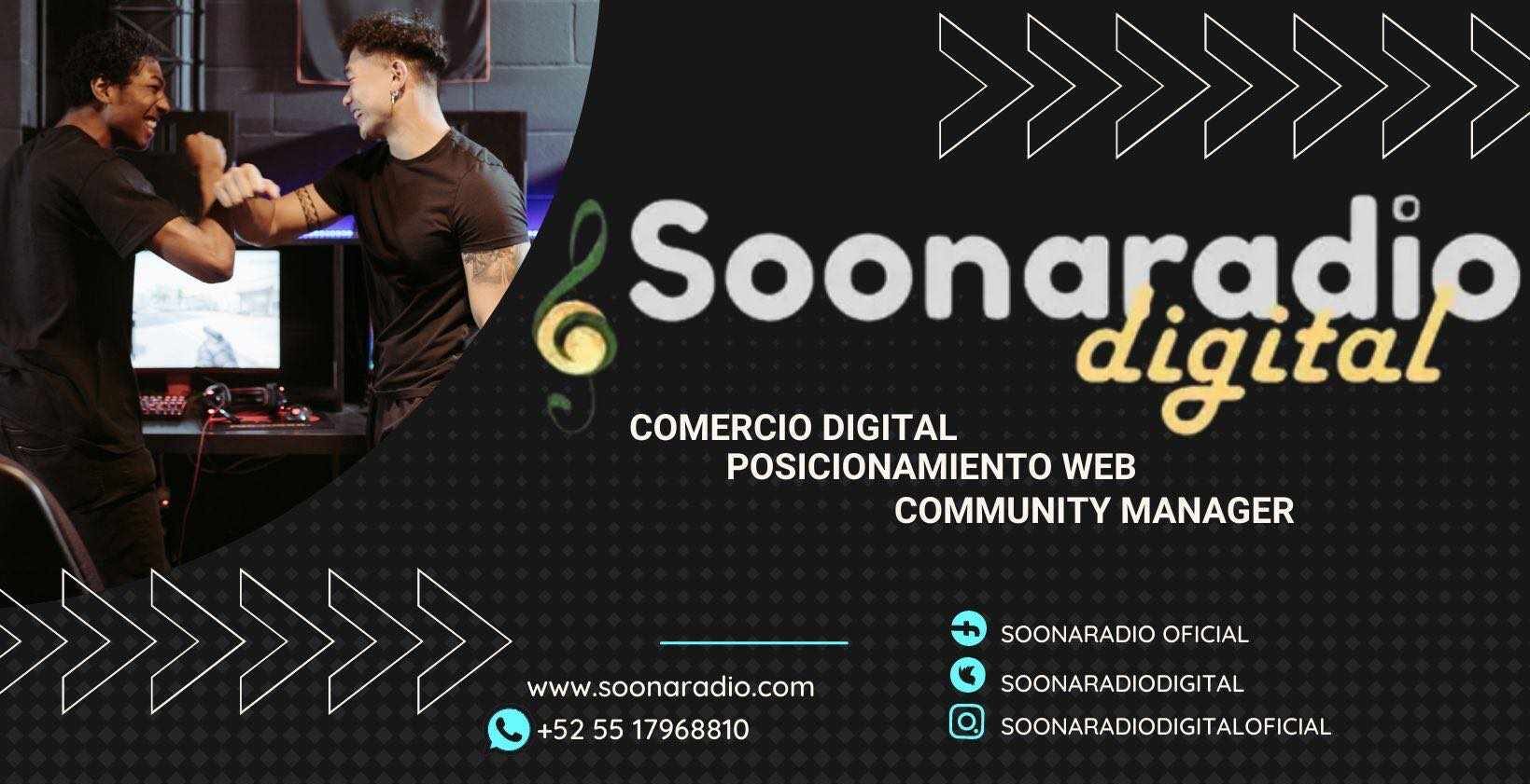 SOONARADIO DIGITAL RADIO